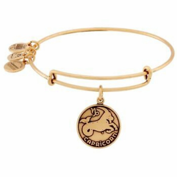NWT Alex & Ani Capricorn Gold Bangle Bracelet - Picture 1 of 3